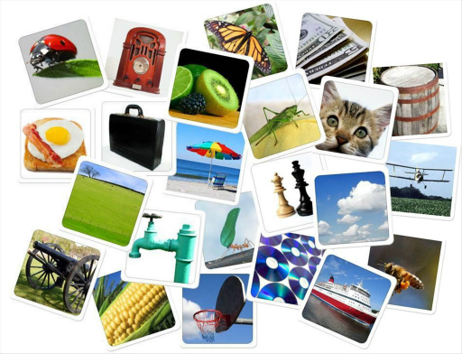 ���������꡼ No.019�Υ���ͥ������ / �ܡ��ɥ�����֥�����ǥ����Τ��襤�áס�Ŭ���ʥ��󥱥��פ��θ����٥�Ȥ��ݡ��ȡ������Ϥȴ������ܡ��ɥ�����ʤ�ǤϤ�����