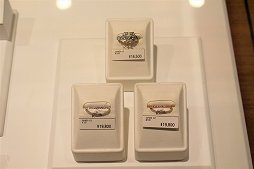 ���������꡼ No.014�Υ���ͥ������ / �֥ĥ����ơפ�֥����ӥ��פʤɤΥ���饯�������奨�꡼�����äѤ������奨�꡼����ŹU-TREASURE�����ȥᥤ�ȥӥ�˰�ž