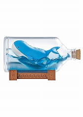 ֥ݥåȥ󥹥 AQUA BOTTLE collection 䤯դΤᤰꤢפκΤꡣ6ȯͽͽ