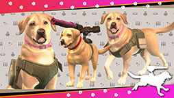 ���������꡼ No.145�Υ���ͥ������ / 4Gamer��ǯ��������֥�����ȳ���̾�ͥ����Ƚ��ס�168̾�������֤�2024ǯ�ȿ�ǯ�ؤ��������