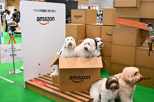 ���������꡼ No.025�Υ���ͥ������ / �������ˤθ�ǭ���å���SQEX PETs�פ�9��ȯ����ꡪ�����⤷�����˥�󥢥��ƥि������Ρȥ��󥿡��ڥå�2025��