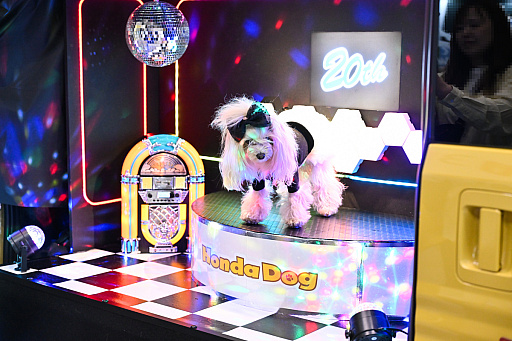 ���������꡼ No.027�Υ���ͥ������ / �������ˤθ�ǭ���å���SQEX PETs�פ�9��ȯ����ꡪ�����⤷�����˥�󥢥��ƥि������Ρȥ��󥿡��ڥå�2025��