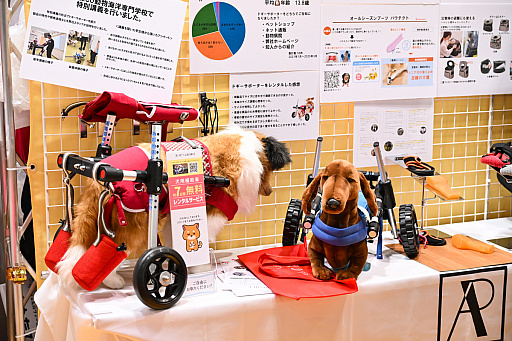 ���������꡼ No.037�Υ���ͥ������ / �������ˤθ�ǭ���å���SQEX PETs�פ�9��ȯ����ꡪ�����⤷�����˥�󥢥��ƥि������Ρȥ��󥿡��ڥå�2025��