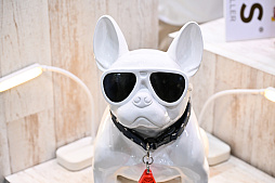 ���������꡼ No.041�Υ���ͥ������ / �������ˤθ�ǭ���å���SQEX PETs�פ�9��ȯ����ꡪ�����⤷�����˥�󥢥��ƥि������Ρȥ��󥿡��ڥå�2025��