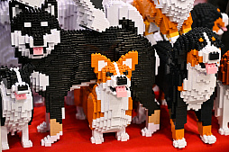 ���������꡼ No.042�Υ���ͥ������ / �������ˤθ�ǭ���å���SQEX PETs�פ�9��ȯ����ꡪ�����⤷�����˥�󥢥��ƥि������Ρȥ��󥿡��ڥå�2025��