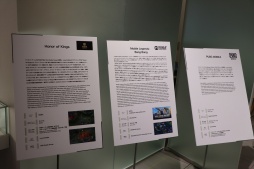 ���������꡼ No.016�Υ���ͥ������ / ���ܥ����ԥå��ߥ塼������ˤơ�e���ݡ��Ĵ��Ÿ�򳫺��档�֥����ġ��ꥹ��7�ס֥��ȥ꡼�ȥե�������6�פʤɡ�6�����ȥ���θ��Ǥ���