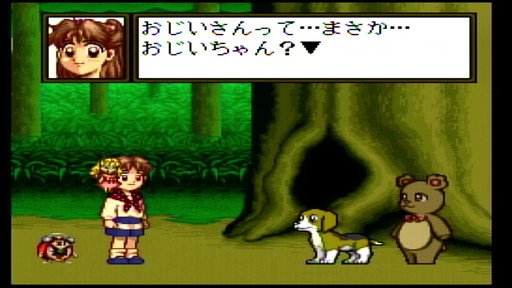 ���������꡼ No.013�Υ���ͥ������ / �����������������������3��ϡ֥롼�ԡ��ס����եȿ��鷺��11�ܡ������뤬����븸�ΡȽ������������ൡ�ɤ��ӥ塼