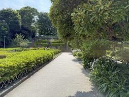 ꡼ No.010Υͥ / ηդʤۥnwm DOTSפϡ⤷ʤȤΤˤäɤʡ㤤ʪSurfer27