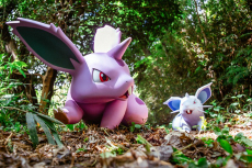 ���������꡼ No.009�Υ���ͥ������ / �ݥ����ο����ʥ��󥿥���ߡ֥ݥ��ѡ���������ȡ��פ�2026ǯ�դ˳��ȡ������åȤ�2025ǯ�������˽缡����ͽ��