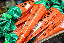 ���������꡼ No.069�Υ���ͥ������ / �����ѡ��ݥƥ�10���ֽ֡��ո����Բ��̲��פ��Фˡ�by 4Gamer